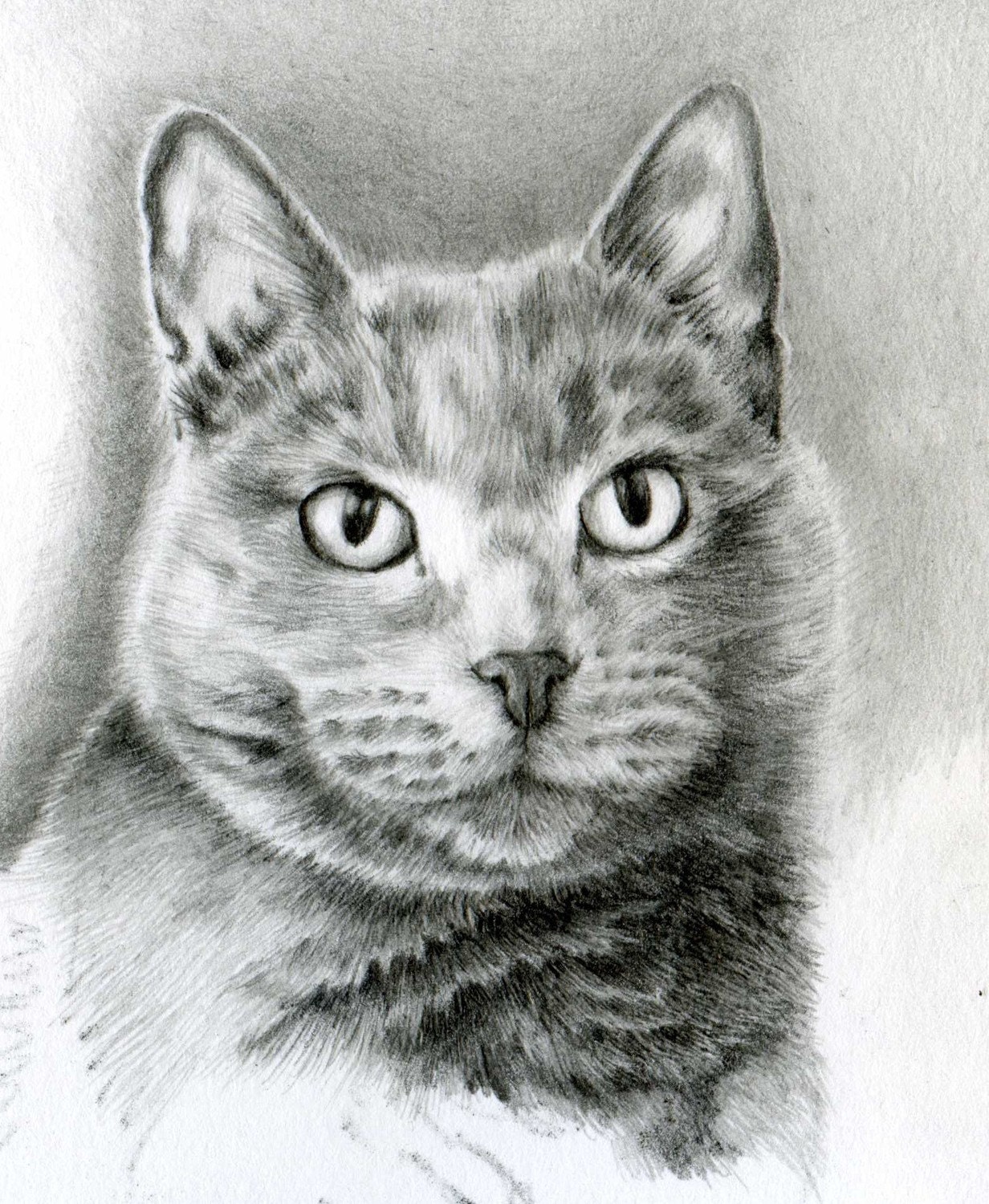 Hand Drawn Vignette Portrait in Graphite - 5x7 or 5x5