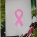 Breast Cancer Needlepoint Kit Pink Ribbon Project Free Ship USA
