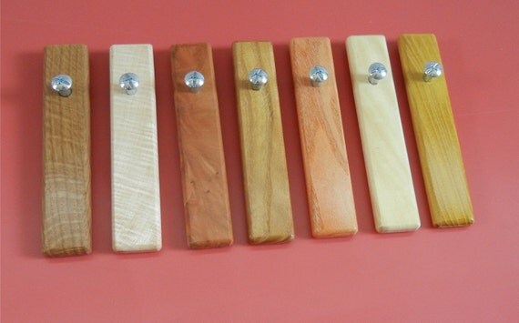beer bottle opener