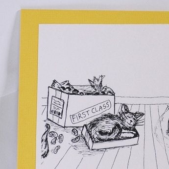 Kitten in a Box Simple Pleasures Greeting Card