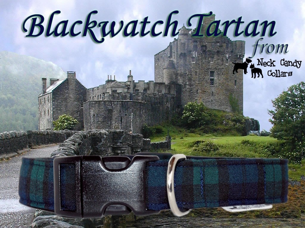 Blackwatch, Scottish Tartan Dog Collar  by Neck Candy Collars
