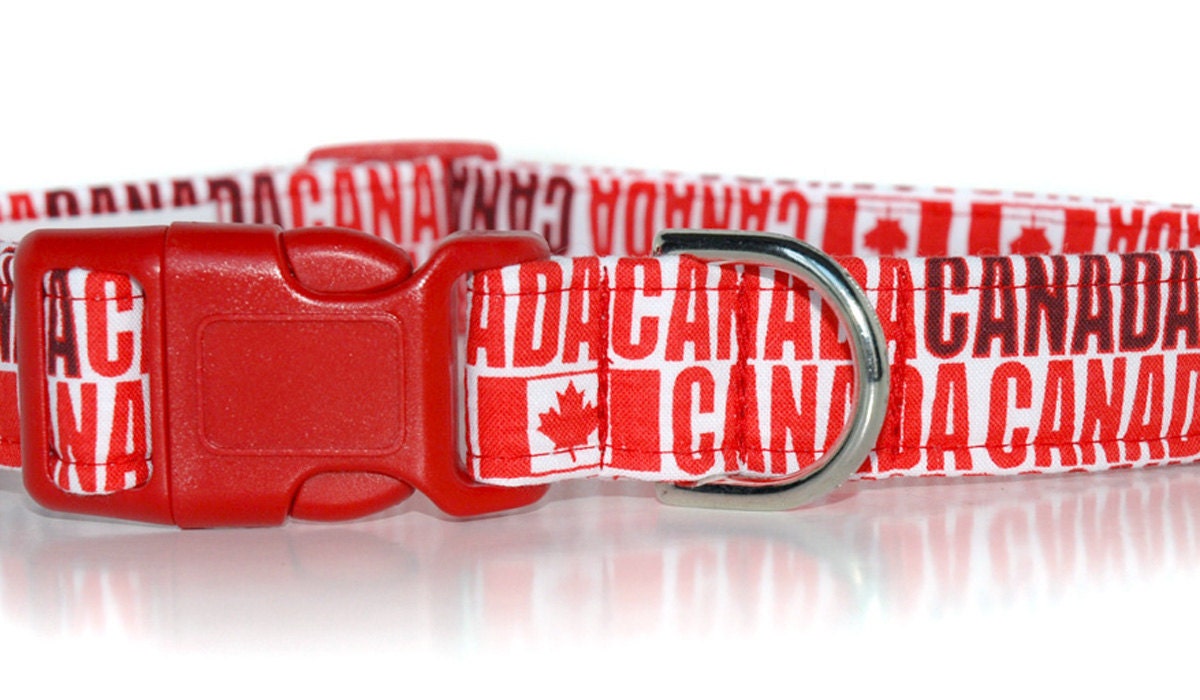 Custom Dog Collars Canada http://www.etsy.com/listing/102430136 Custom Dog Collars Canada http://www.etsy.com/listing/102430136
