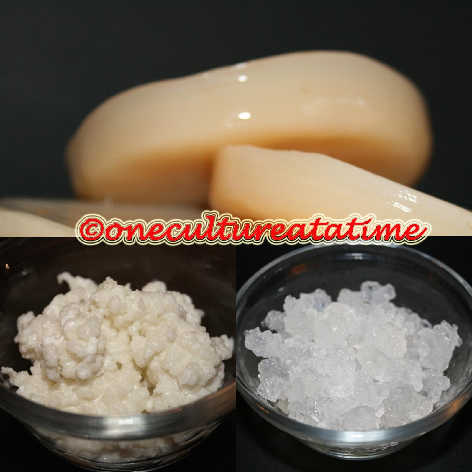 3 ORGANIC CULTURES ------   MILK KEFIR - WATER KEFIR - KOMBUCHA