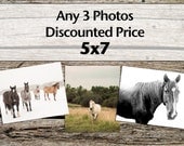 Any 3 Photos, Size 5x7, Fine Art Photography, Equestrian Photography