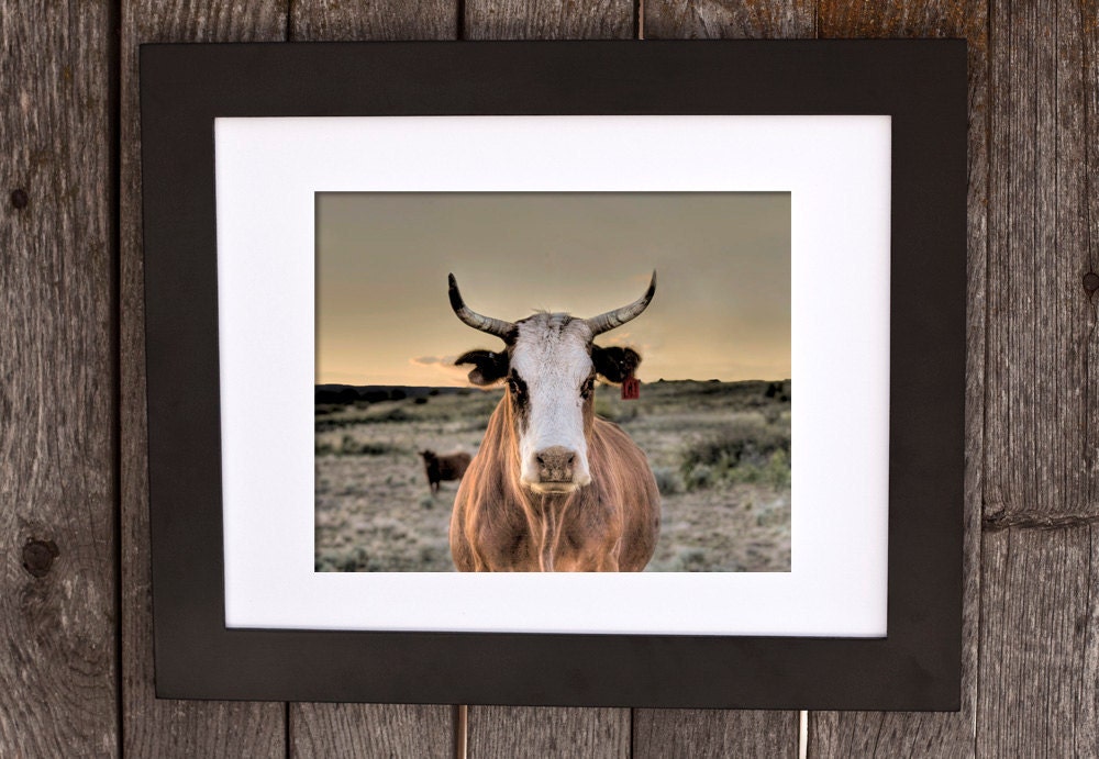 MOO, Animal Photograph, Unique Photograph, Cattle Art, Western Rugged Art