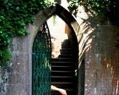 Entrance to The Secret Garden-  8x10 Fine Art Photographic Print- Open Green Gate - Secret Garden - Irish Landscape - Ivy Stone Wall