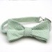 Men's Freestyle Bow Tie in Spearmint Seersucker
