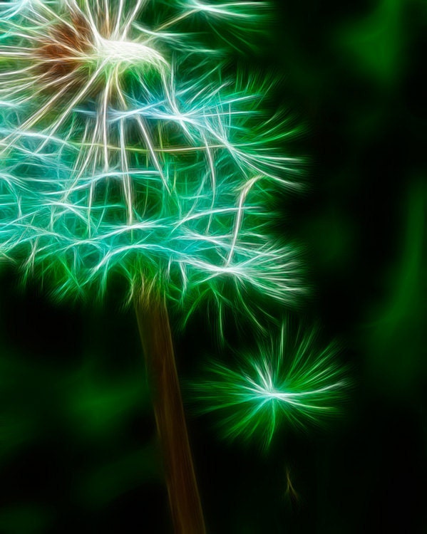 Fractal - Fractal Art - Fractal Dahlias - Fine Art Set of (5) 8x10" Prints - Flower Photography - Home Decor -