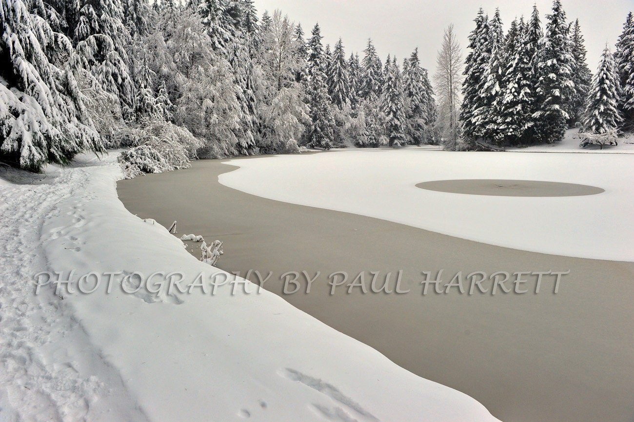Winter Photography - Fine Art - Photo Art - Photography - Snow Photography - 16 X 24 - Prints