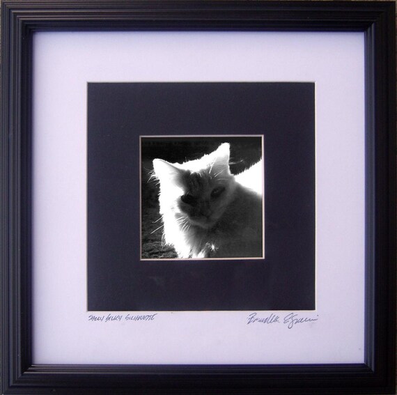 Sally Silhouette, framed photo
