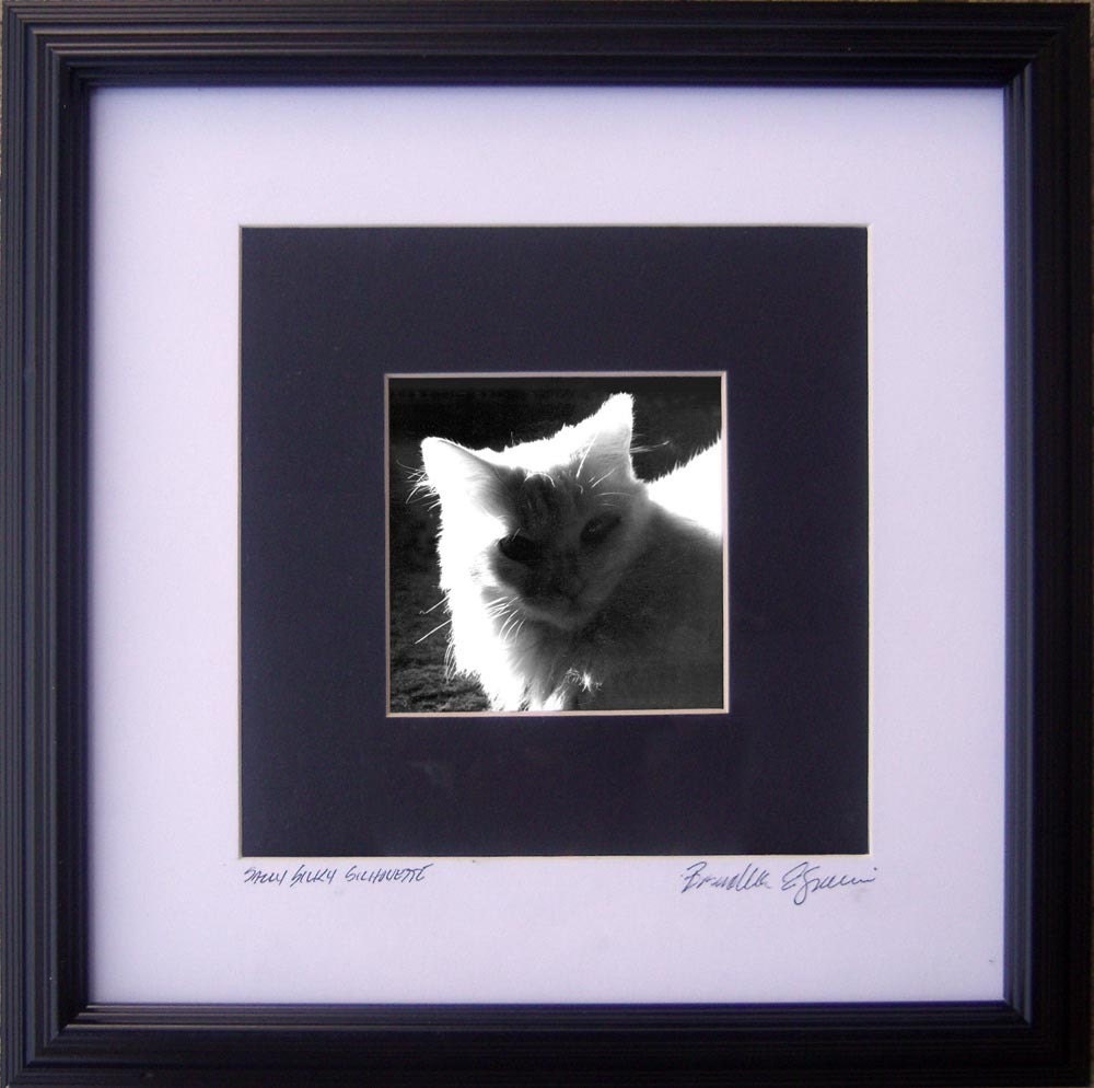 Sally Silhouette, framed photo