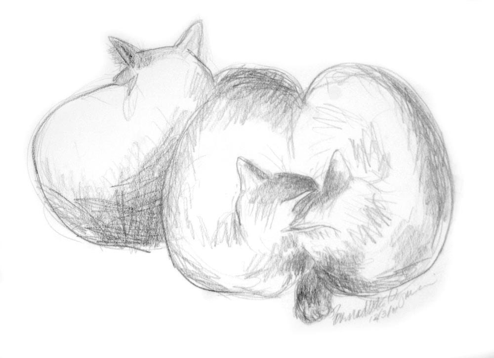 Three Cats, Digital Print