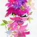 Watercolor Illustration - garden series - Bougainvillea impressions