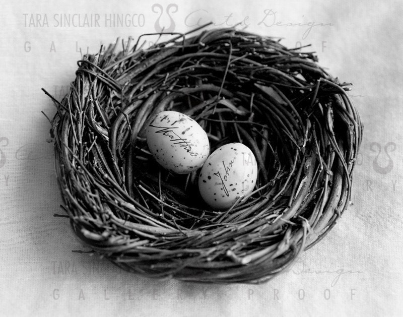 Bird Nest - Personalised Nursery Print for baby, child, nursery - Custom name eggs  - 8x10 matted print