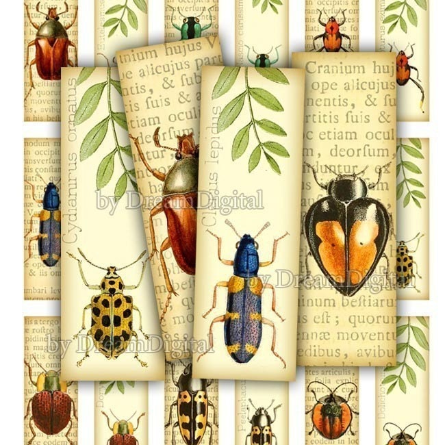 Insect Digital Collage Sheet Bettles 1 x 3 inch for Pendants Microscope Slide Printable Images - INSTANT DOWNLOAD No.119