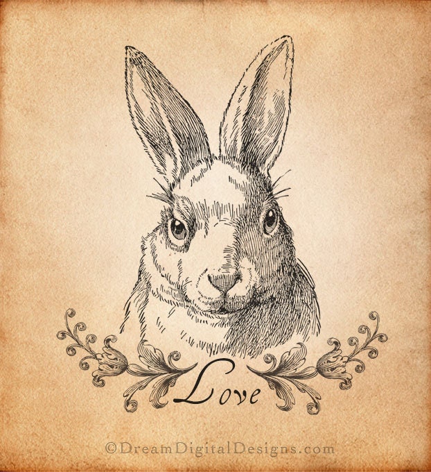 Bunny Rabbit Digital Collage Sheet for Fabric Transfers Papercraft Home Decor Crafts - Printable Image INSTANT DOWNLOAD No.279