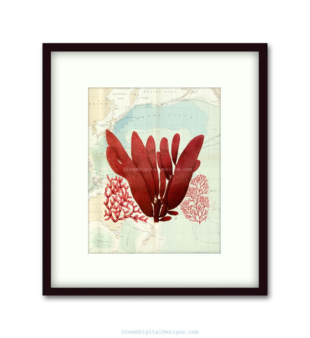 Sea Wall Decor Art Print Nautical Vintage Map Art 8x10 Ocean Coastal Wall Art No.P238