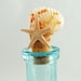 Vintage Apothecary Bottles - Aqua Bottles - Shell Embellisment Bottles