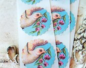 Cottage Chic Aqua and Pink Handmade Sticker Seals, Victorian, Wedding, Set of 12