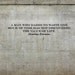 Charles Darwin Quotes on Wasting Time Custom Wall Decor Decal Stickers