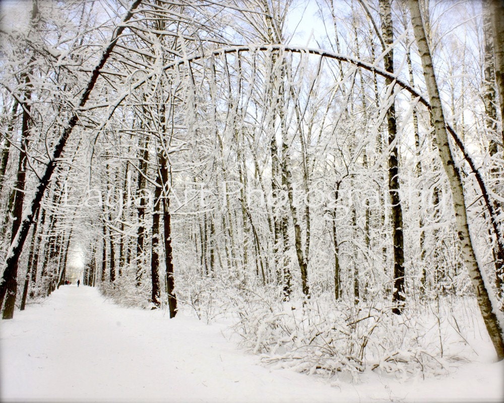 First Snow - Russian Winter - Forest in Snow - Fine Art Photograph 8x10 - LaylaArt