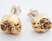 Cast Human Tooth Stud Earrings
