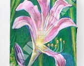 Purple Lilly