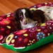 Purple Elephants w/ green Deluxe Bunbed Dog bed for Dachshunds or other small dogs