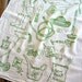 Screen Printed Organic Cotton Kitchen Flour Sack Tea Towel - Eco Friendly and Awesome dish towel - Green Thumb Gardening Tools Illustration