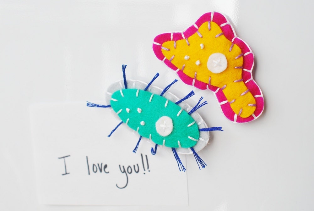 Single Celled Organism Magnets - Amoeba Paramecium - Science Biology Microbiology Small