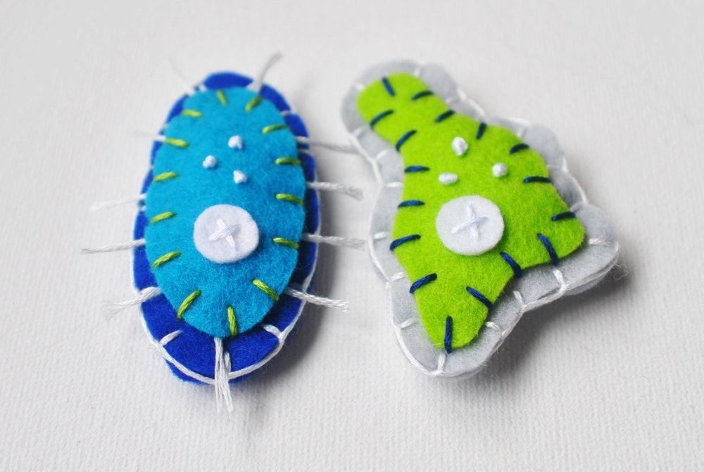 Science Microbe Magnet Pair - Amoeba and Paramecium Felt Magnets - Biology Microbiology Geeky - whatnomints