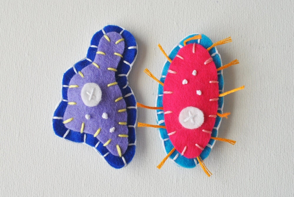 Amoeba and Paramecium Microbe Magnet Pair - Science Microbiology Biology Graduation - Funny Geeky Wool Felt Magnets