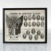 Secret Society - Antique Freemason / Scottish Rights Reunion Photo, 1934, AASR - NMJUSA Valley of Youngstown