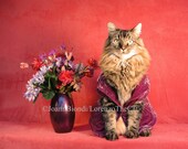 Purple Velvet  Greeting Card