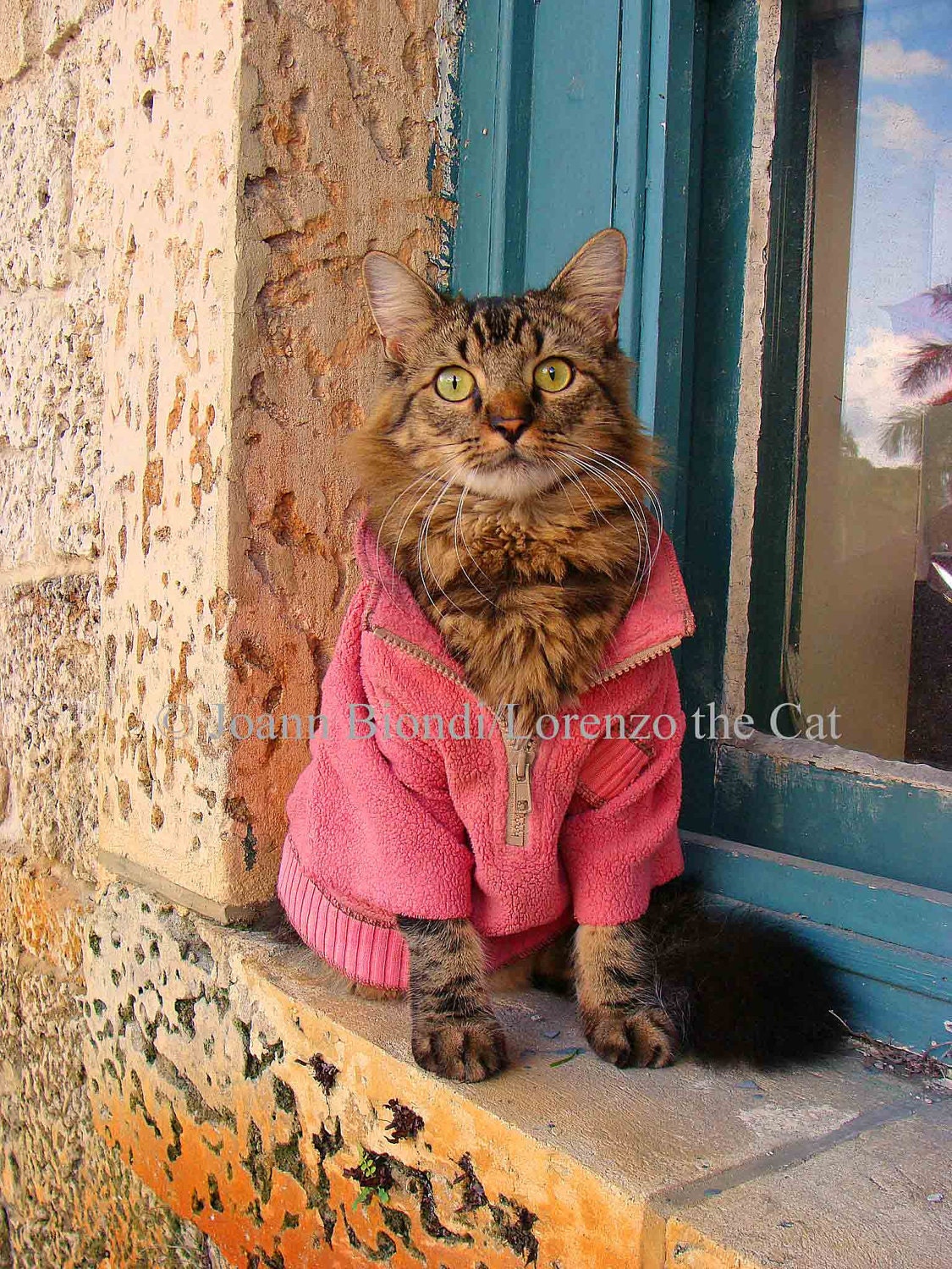 Real Men Wear Pink Greeting Card