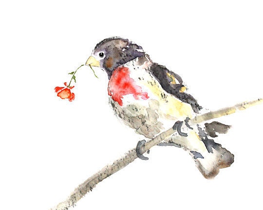 Notecards Set, gift for mom, gift for grandma, boxed stationery, Watercolor birds, greeting cards - Sweet Puffs Bringing Spring Series