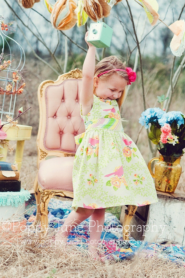 READY TO SHIP Spring  Easter Dress-  Garden District Vintage Party Dress sz 2,6