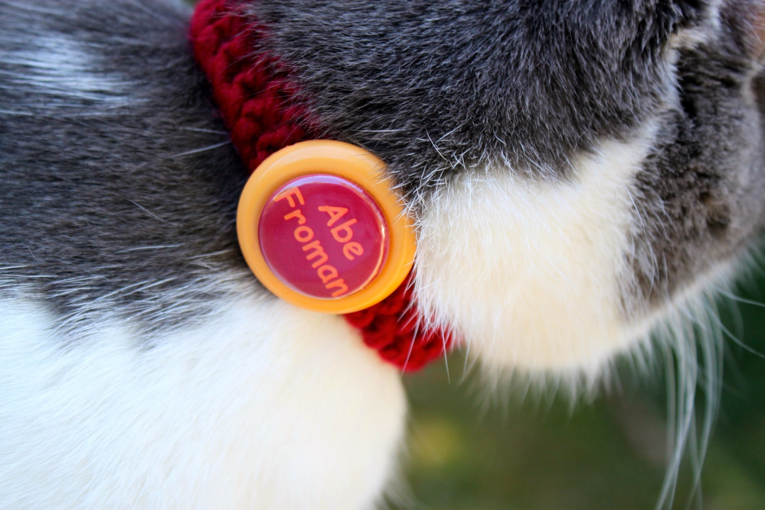 Abe Froman Kitty Collar
