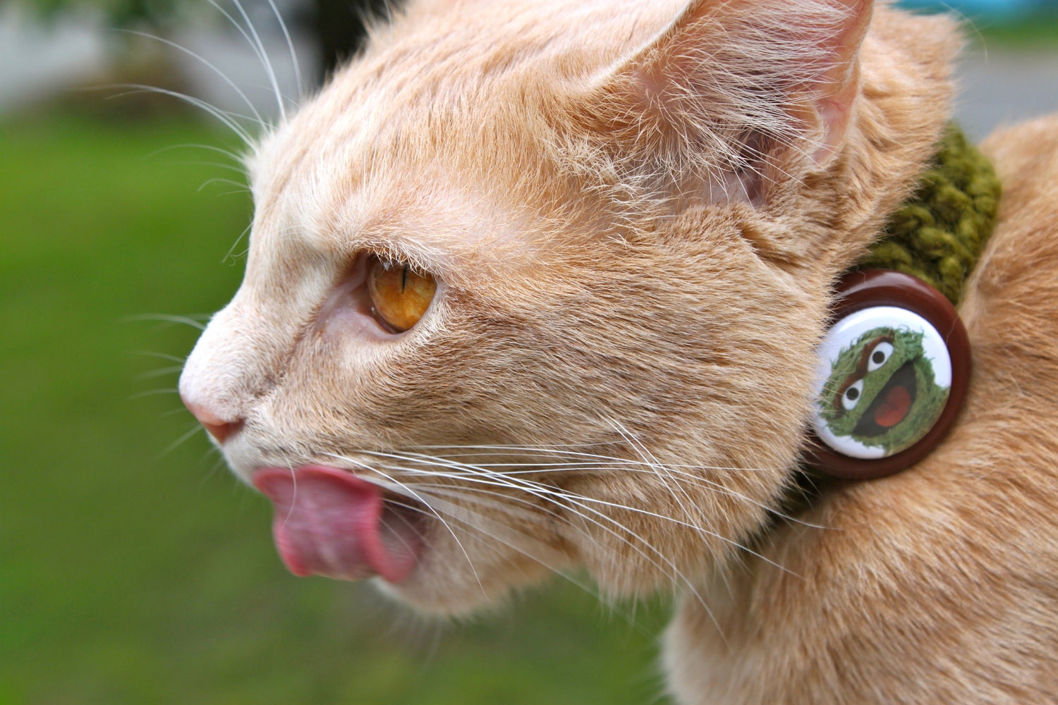 Oscar the Grouch Kitty Cat Collar