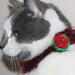 Bonita Mamacita Kitty Collar