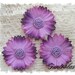 Tessa - 2 inch Silk Daisy Purple Set of 3