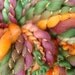 Harvest Moon Handspun Art Yarn 46 yards