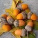Wool Stuffed Double Acorns