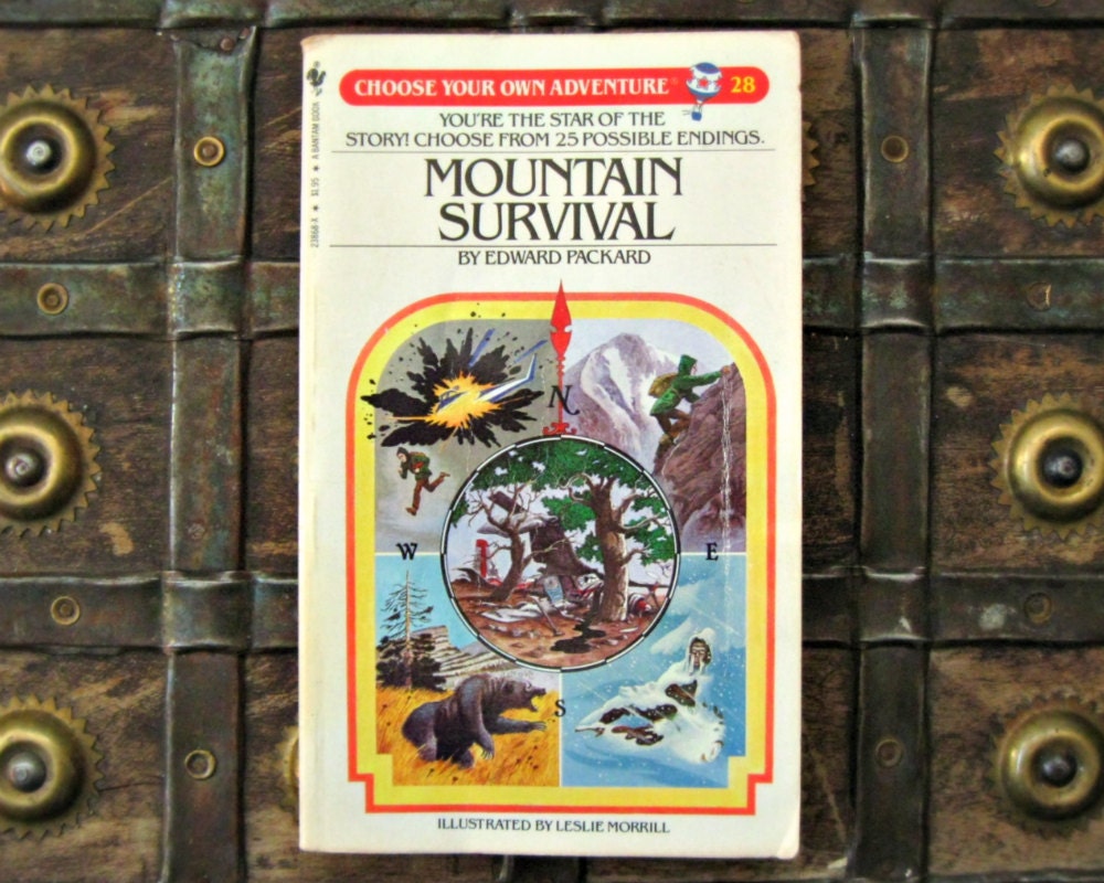 Choose Your Own Adventure 28 - Mountain Survival - Edward Packard - 1980s paperback illustrated children's science fiction book