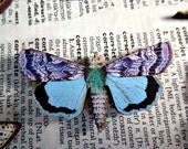No. 5 Wooden Moth Magnet - Insect Nature