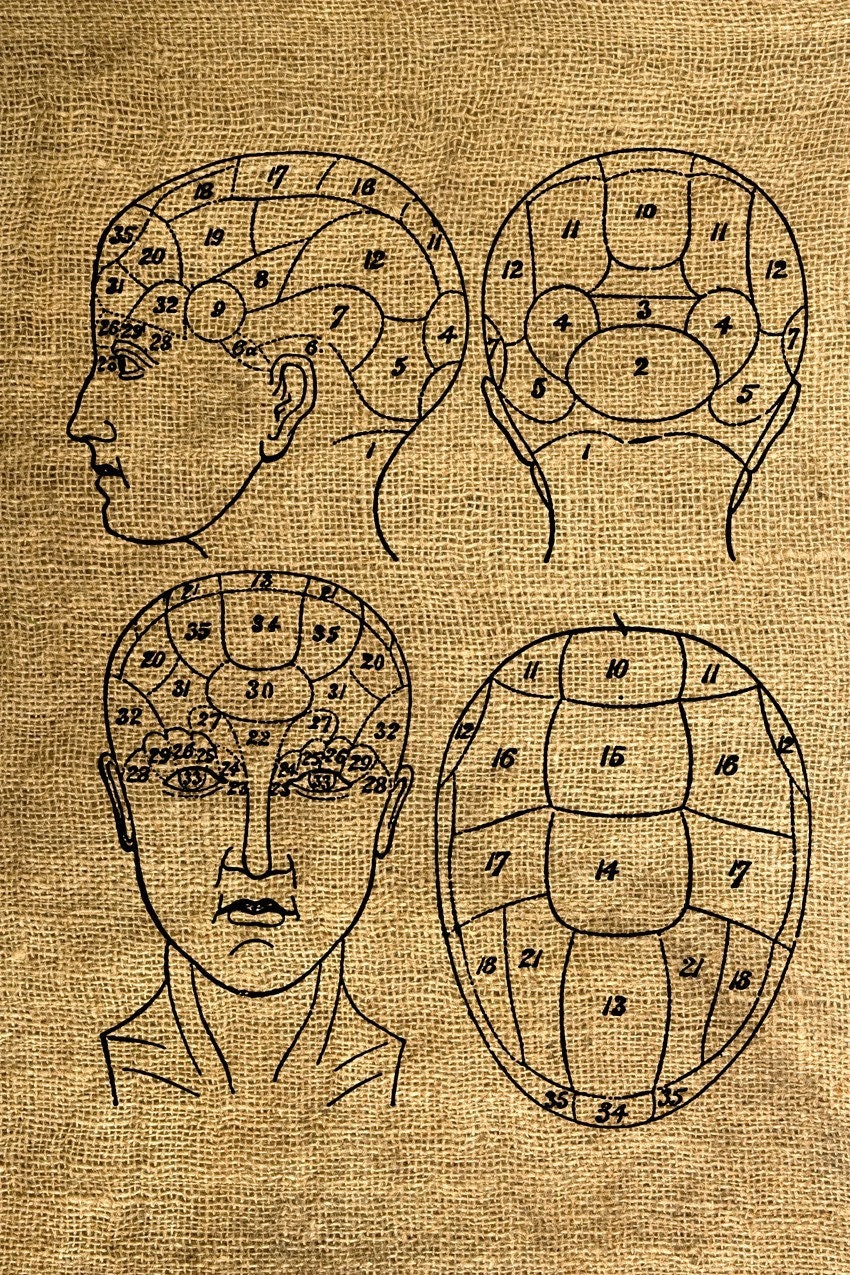 Brain Vintage