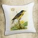 INSTANT DOWNLOAD Birds Vintage Postcards Colorful Images - Image Transfer - Digital Collage Sheet by Room29 - Sheet no. 436