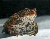Thoughtful Toad Giclee Print on Paper - 5x7 matted to 8x10