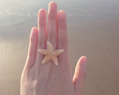 The Mermaid's Starfish Ring II - Natural Sugar Starfish - Cute Adorable - Beach Boho Romantic - Whimsical - Dreamy Sea Star - Summer Fashion - dreamsbythesea