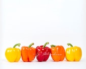 Friends, Peppers Photo, Minimalist Photography, Square Fine Art Print, Whimsical Vegetables Red Orange Yellow - j2studiosphotography